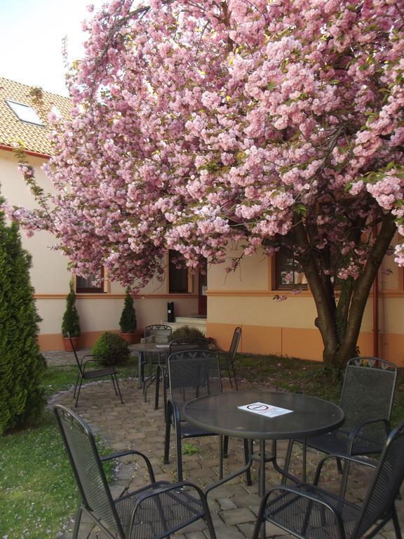Pannon Hotel Bejelentkezes 20 Oraig, Check-In Until 20 O'Clock, Einchecken Bis 20 Uhr Mohács Exterior foto